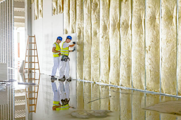 Best Commercial Insulation in Geneva, IN